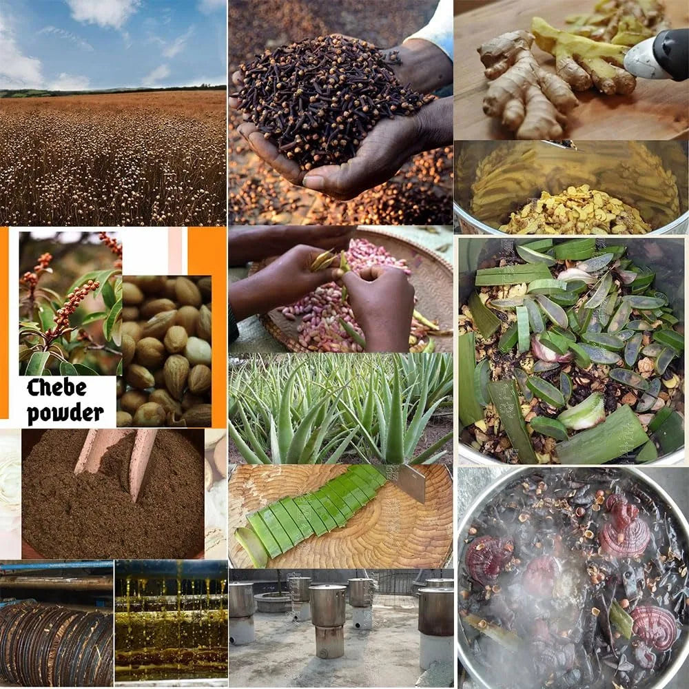 Hair Growth Oil with Chadian Chebe