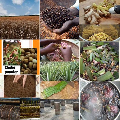 Hair Growth Oil with Chadian Chebe